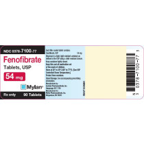FENOFIBRATE 54MG